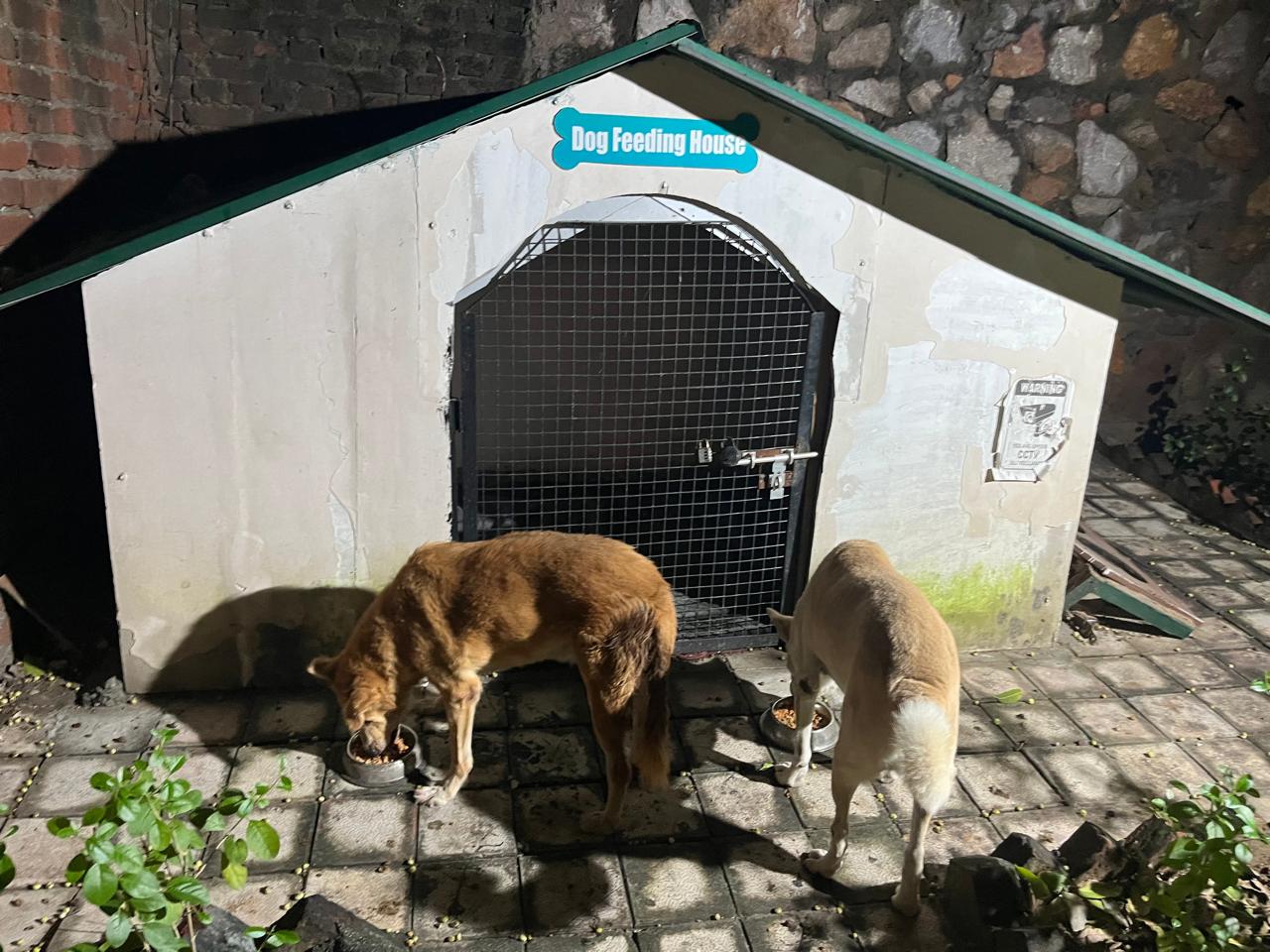 Dog feeding house near Student Activity Centre